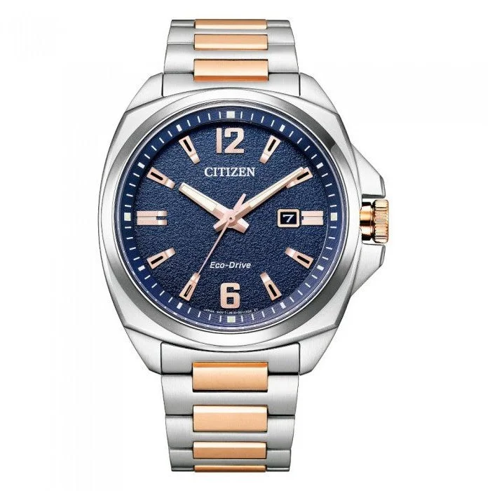 Men's Endicott Eco-Drive Watch (AW1726-55L)